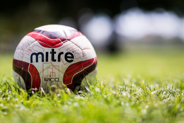 images/ball_on_pitch_high_grass.jpg